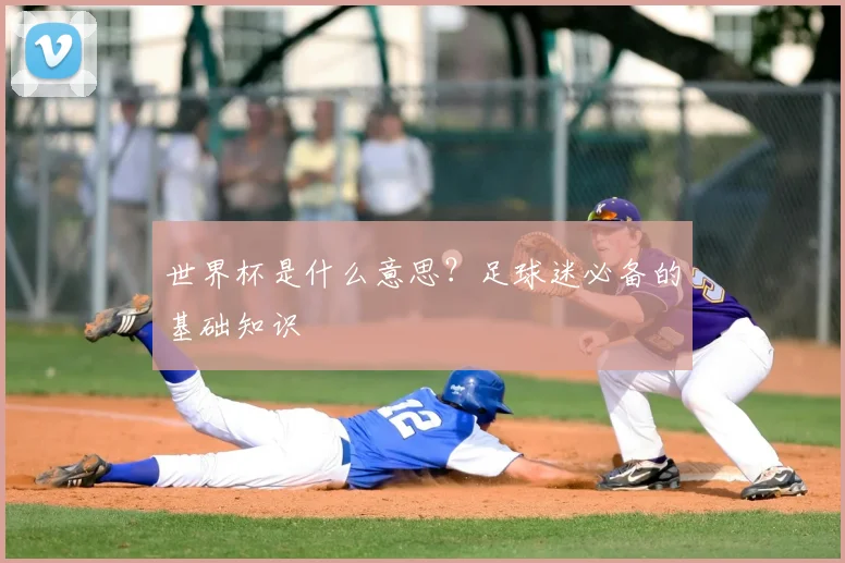 世界杯是什么意思?足球迷必备的基础知识